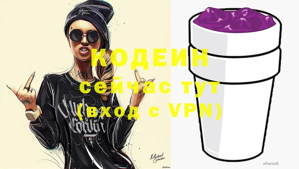 шишки Елизово
