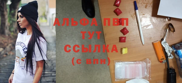 шишки Елизово