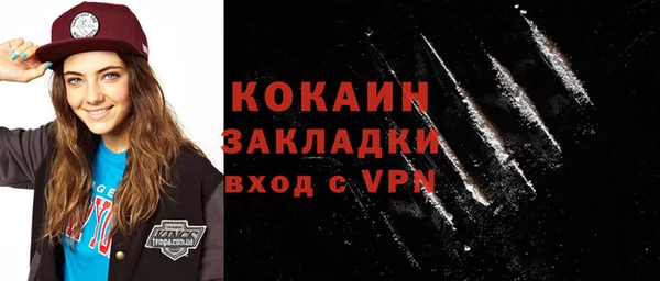шишки Елизово