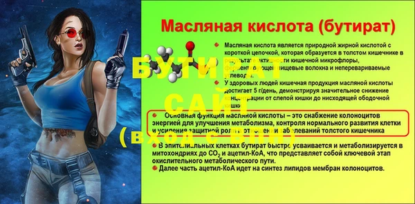 шишки Елизово