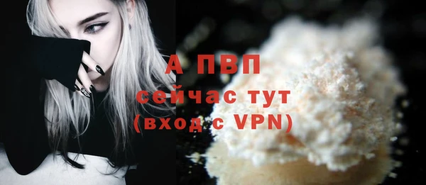 шишки Елизово