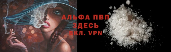 a pvp Ельня