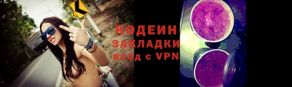 a pvp Ельня
