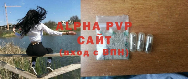 шишки Елизово