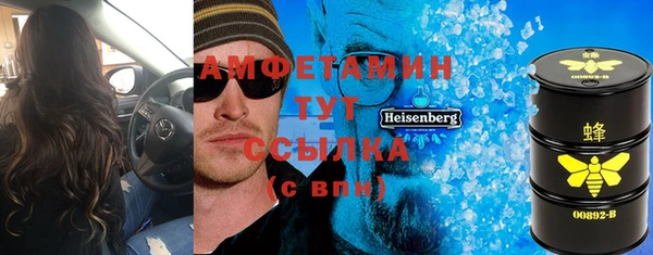шишки Елизово