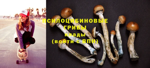 шишки Елизово