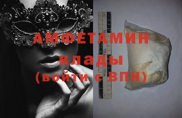 шишки Елизово