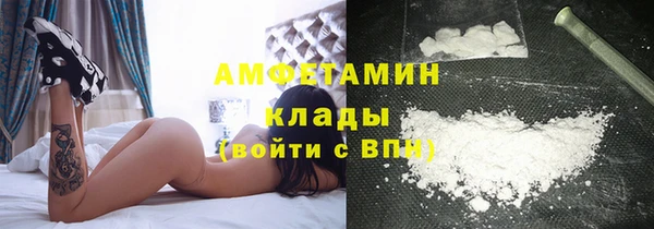 a pvp Ельня