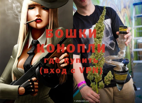 шишки Елизово